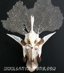 Gorgonne de Jean-Paul Minster Gorgonne - -Assemblage de Jean-Paul Minster
