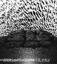 De Materiae 38 - Art numérique, Photographie de Jean-Luc Labrette