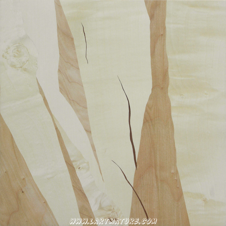 Sans titre 12 - Marqueterie de Jacques Moisan