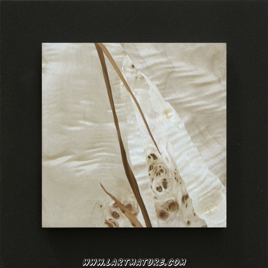 Sans titre 36 de Jacques Moisan Sans titre 36 - Marqueterie de Jacques Moisan