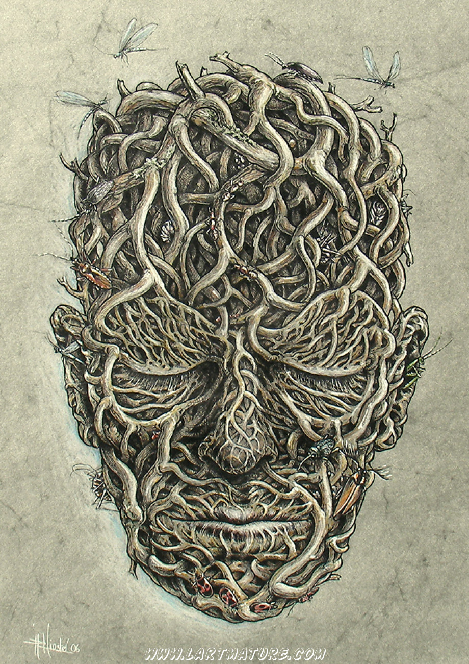 Saule tortueux-Hiver - Dessin, Peinture de Jean-Paul Minster