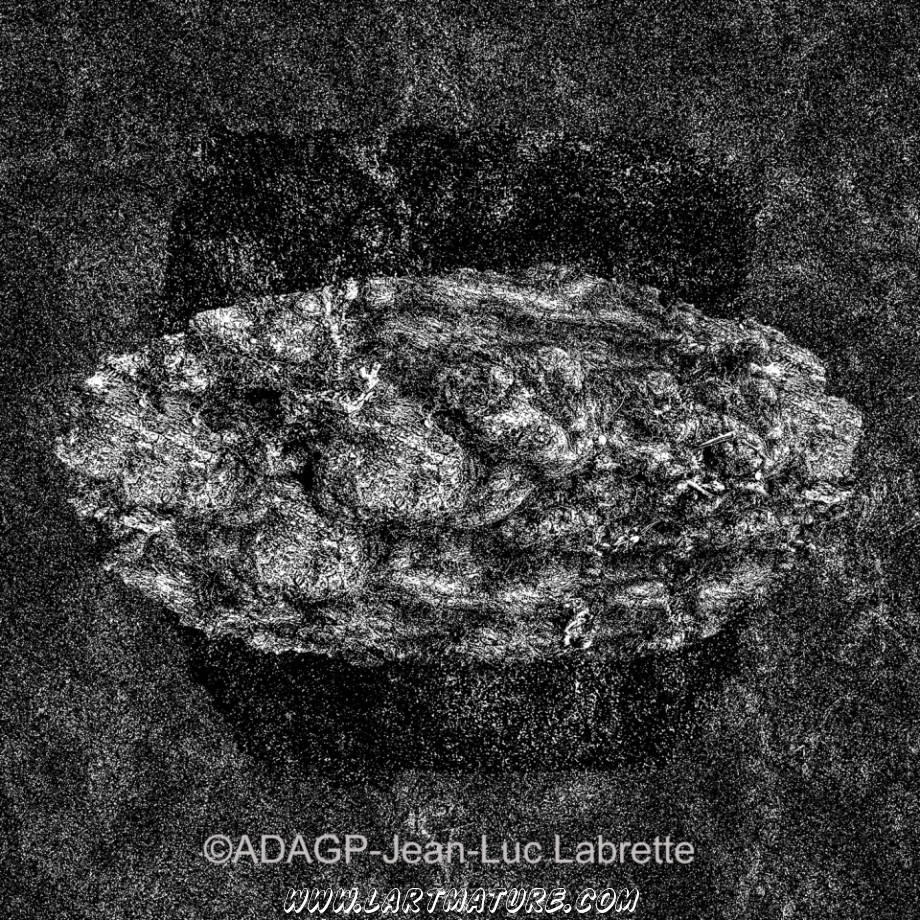 De Materiae 02 - Art numérique, Photographie de Jean-Luc Labrette